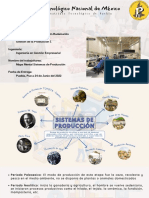 Mapa Mental Sistemas de Producción