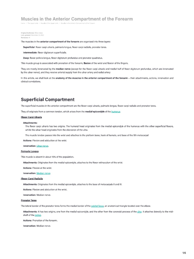 Anterior Compartment of Forearm | PDF