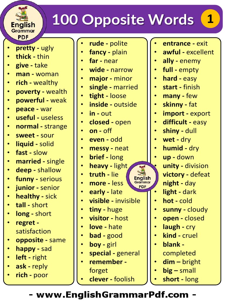 100 100 Opposite Words