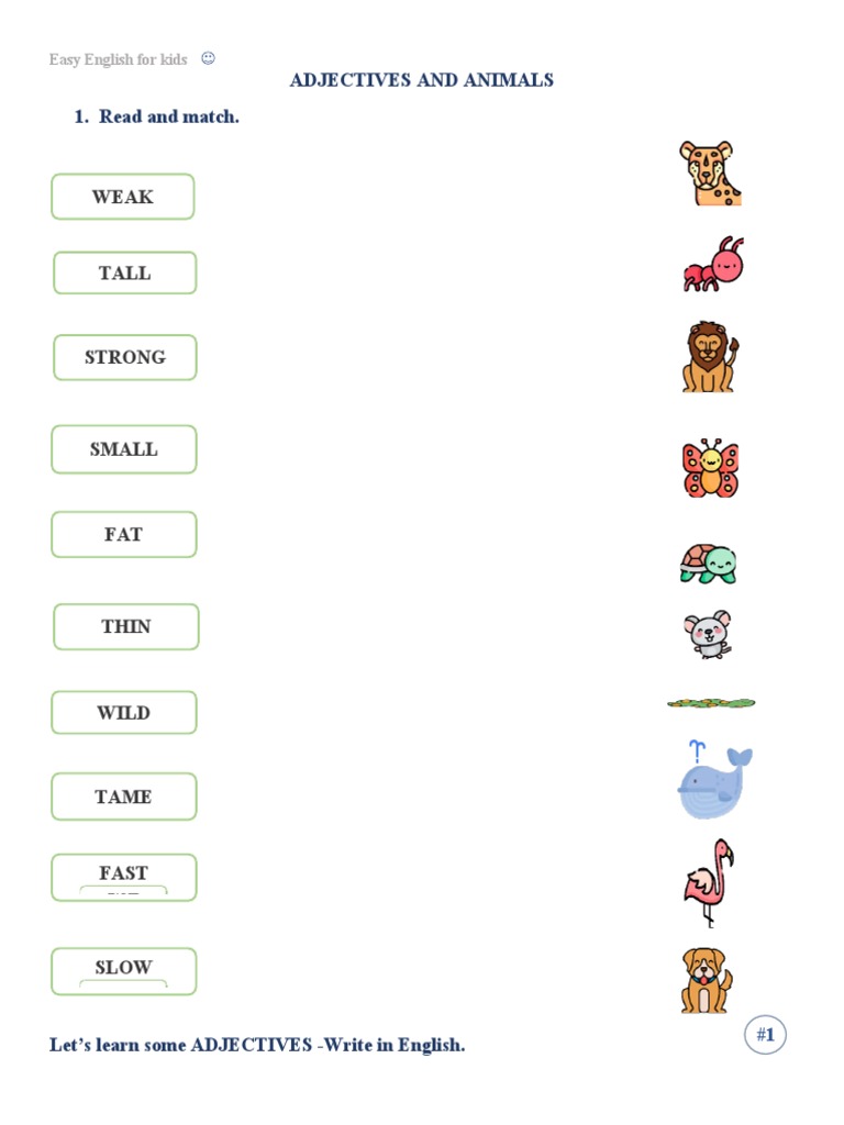 english for kids | PDF