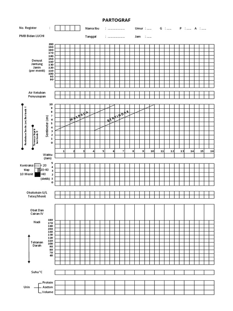 Panduan Pengisian Partograf Persalinan | PDF