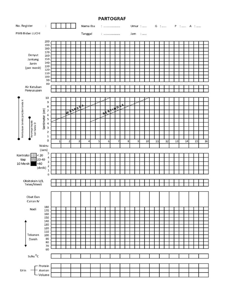 Form Partograf | PDF