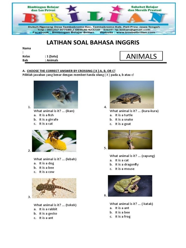 Soal Bahasa Inggris Kelas 1 SD Bab Hewan Animal - Pilihan Ganda | PDF