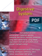 The Digestive System