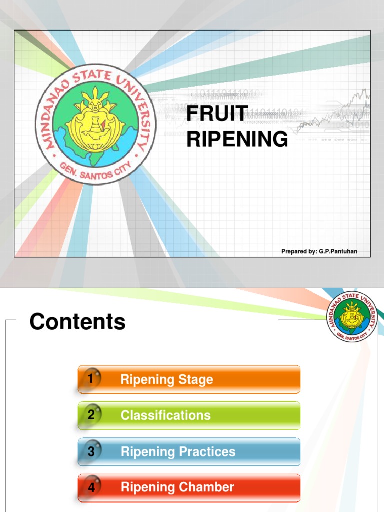 Fruit Ripening Stages & Methods | PDF | Science & Mathematics
