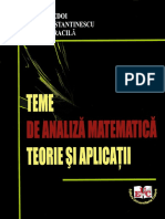 Teme de Analiza Matematica - Teorie Si Aplicatii