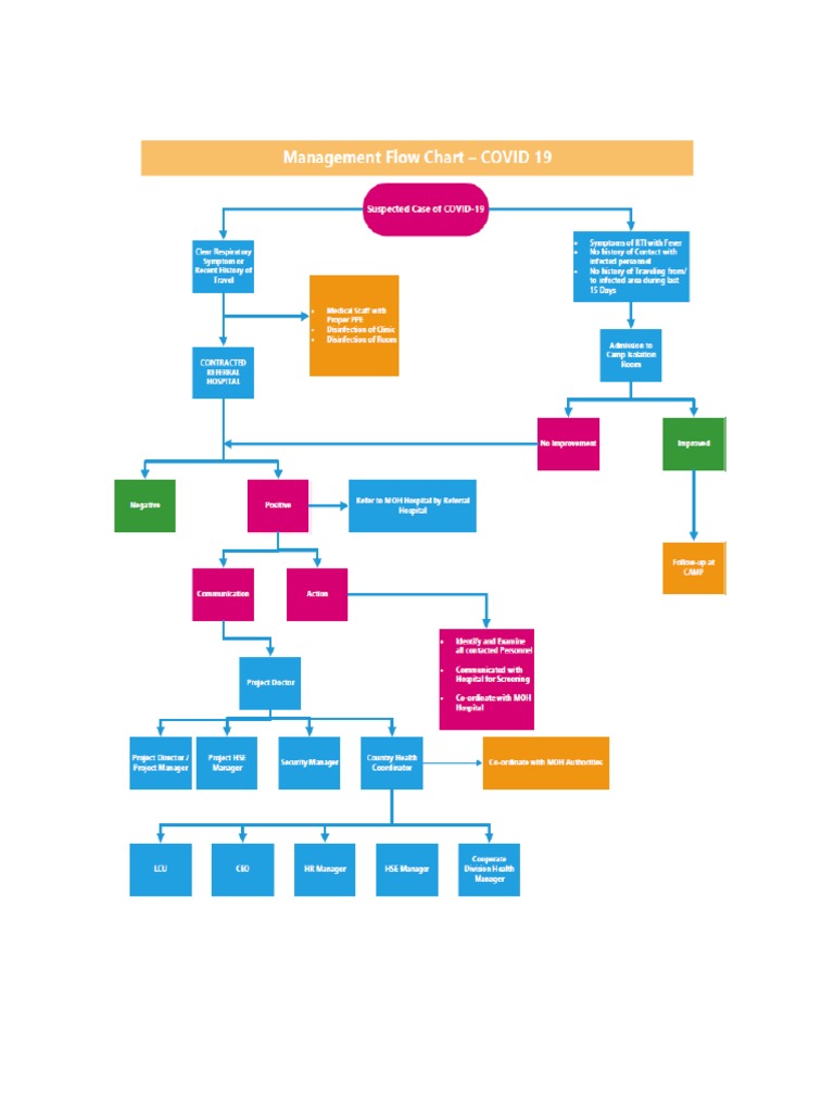 Management Flowchart | PDF