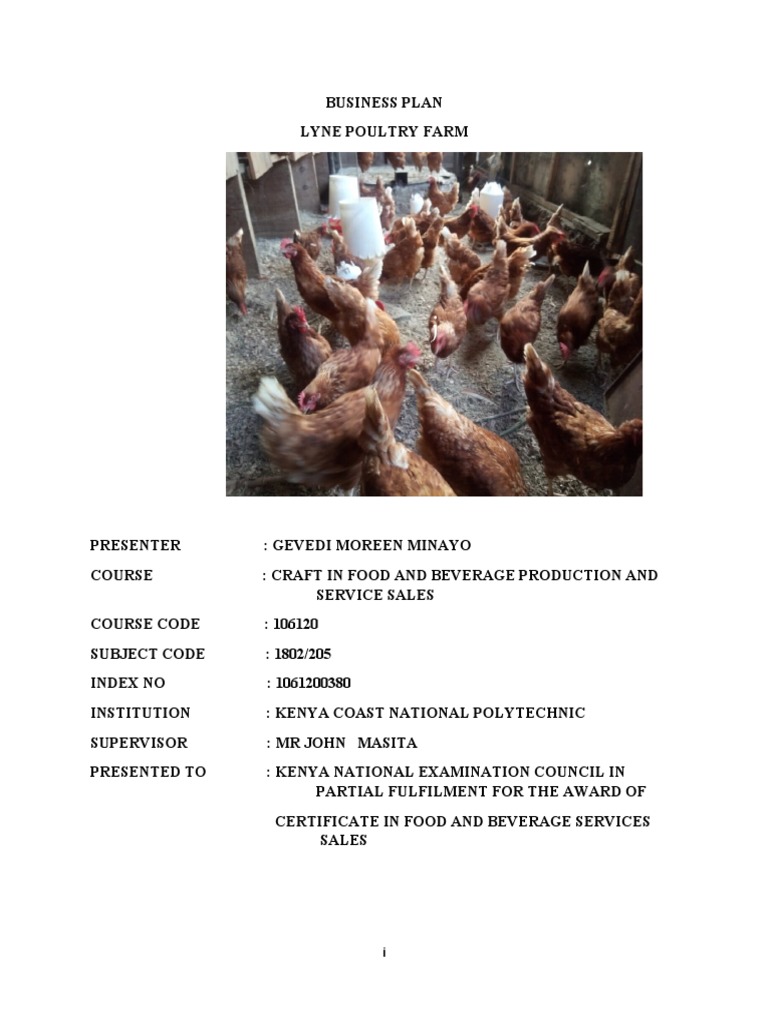 Business Plan | PDF