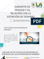 Extincion de Dominio 1