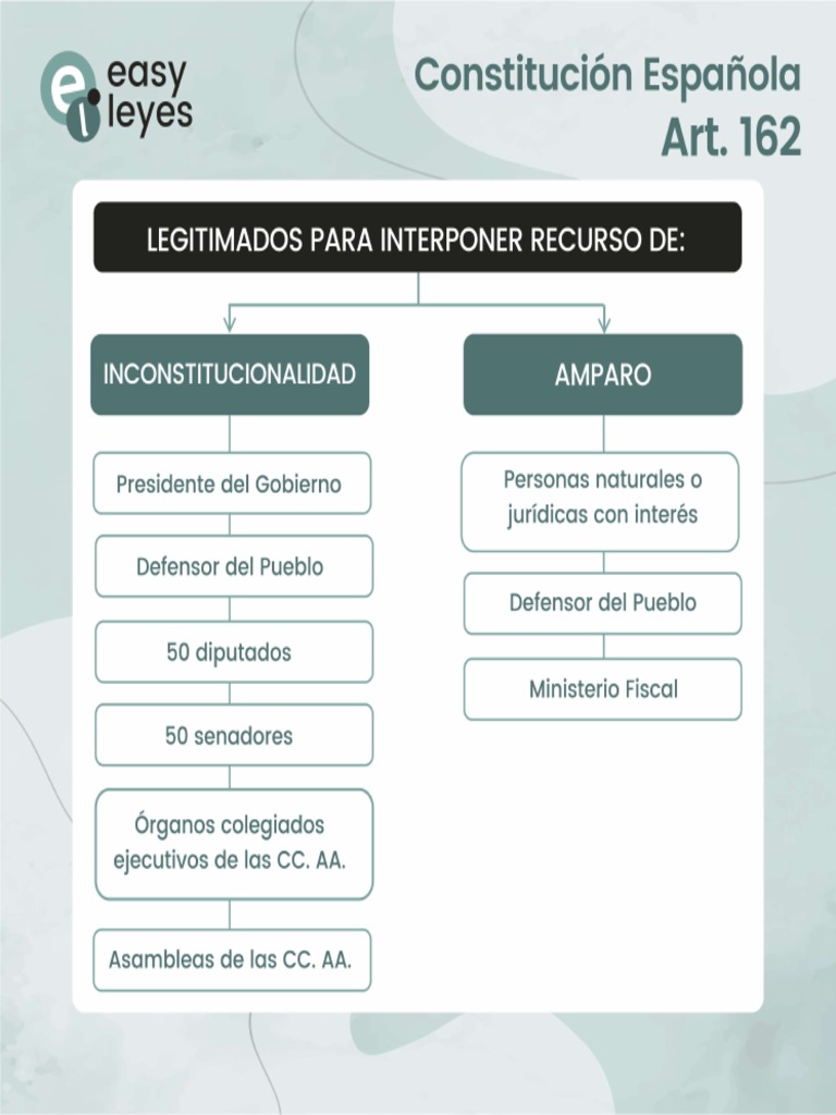 Legitimados para Interponer Recurso de Inconstitucionalidad y de Amparo ...