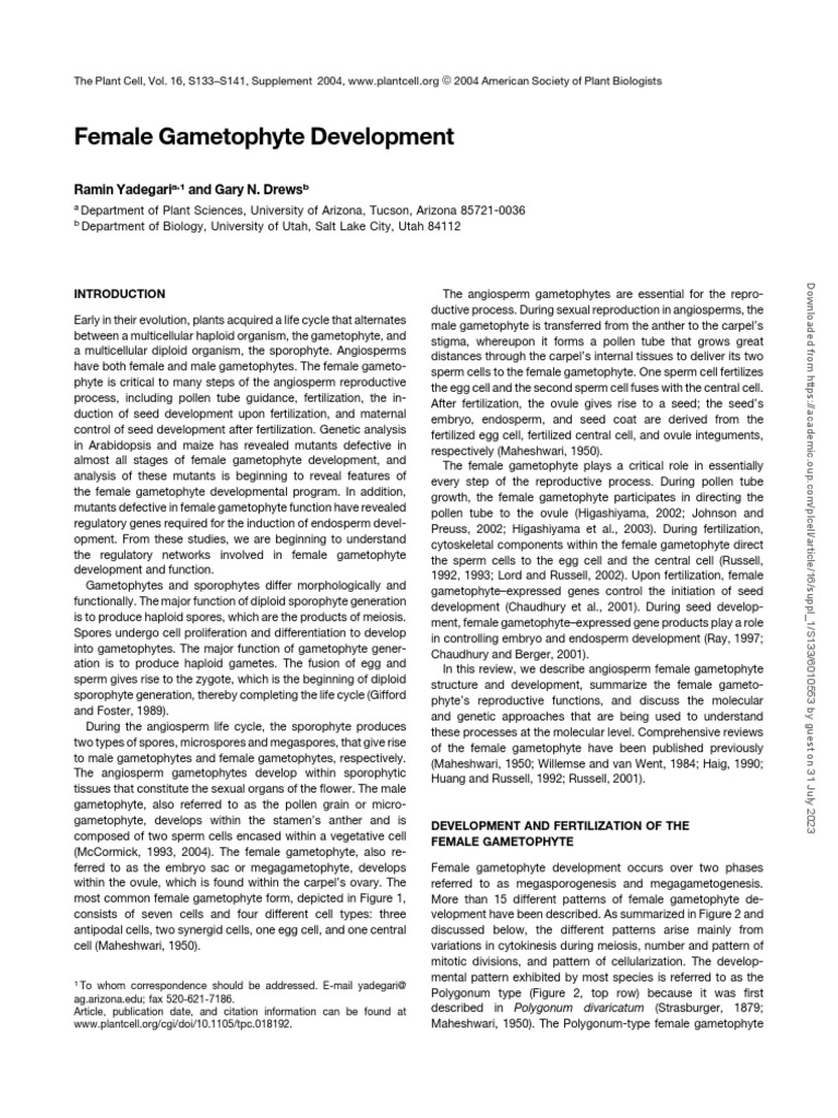 Female Gametophyte Development | PDF | Fertilisation | Plants