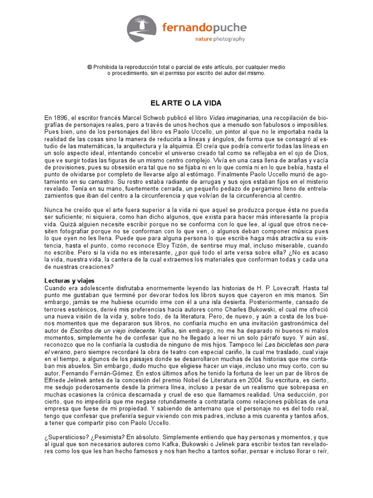 Fernando Puche Articulo 05 PDF