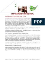 Emprendedor Profesional 4