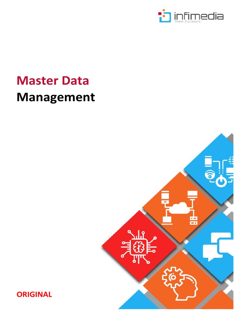 master-data-management-pdf