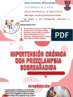Hipertensión Crónica Con Preeclampsia Sobreañadida - Clínica V