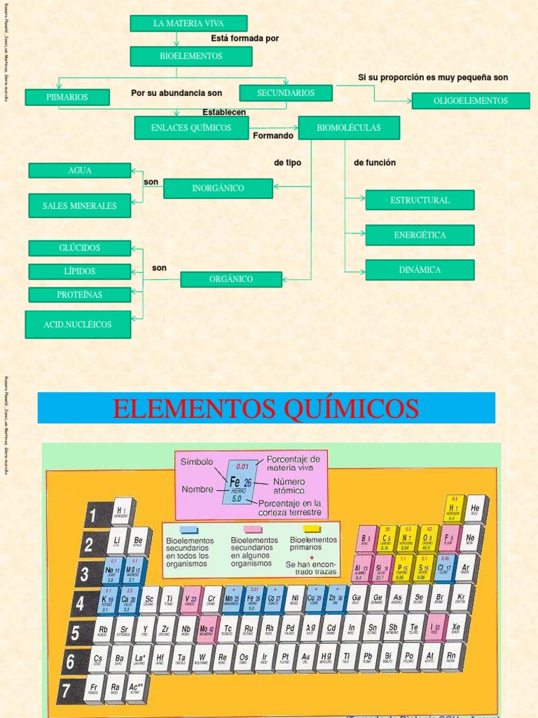 Esquema de Bioelementos y Biomoléculas | PDF | Carbohidratos | Biomoléculas