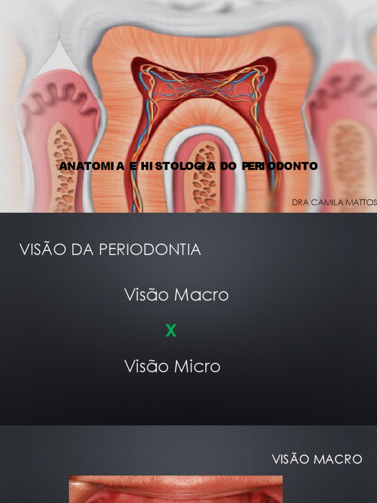 Aula01 Perio | PDF