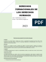 Derechos Internacionales de Los Derechos Humanos