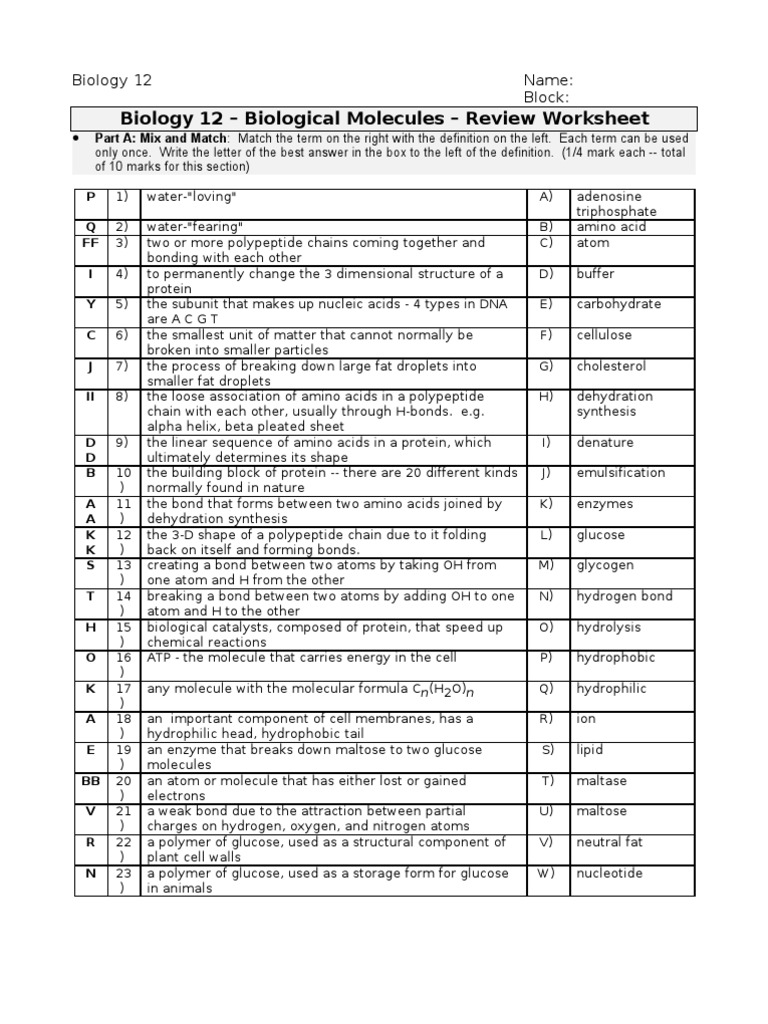 worksheet Organic Molecules Worksheet Review Key biology 12 biological molecules review key biomolecular structure carbohydrates