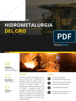 Brochure PIV Metalurgia Del Oro-1-9-1-7