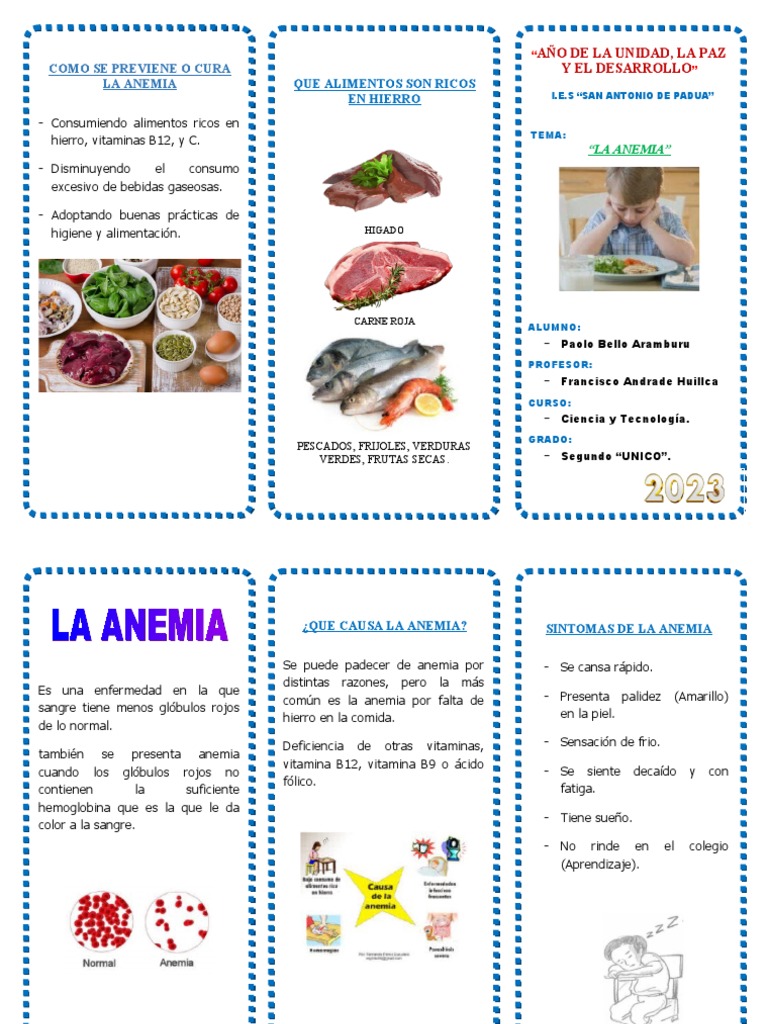 triptico-anemia-ok-pdf