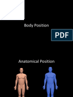 Body Orientation