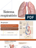 Aula 17 - Sistema Respiratório