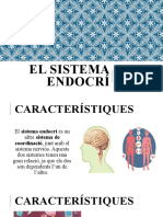 El Sistema Endocrí