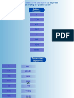 Possessive Pronouns