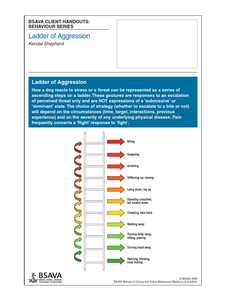 ladder_of_aggression PDF