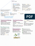 Ib bio HL topic 9 Plant biology summary