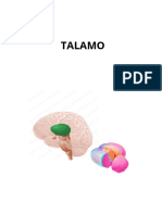 Talamo