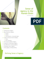 Sense of Agency in The Human Brain