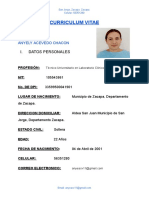 Curriculum Vitae Anyely