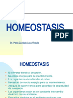 CLASE 3 Homeostasis