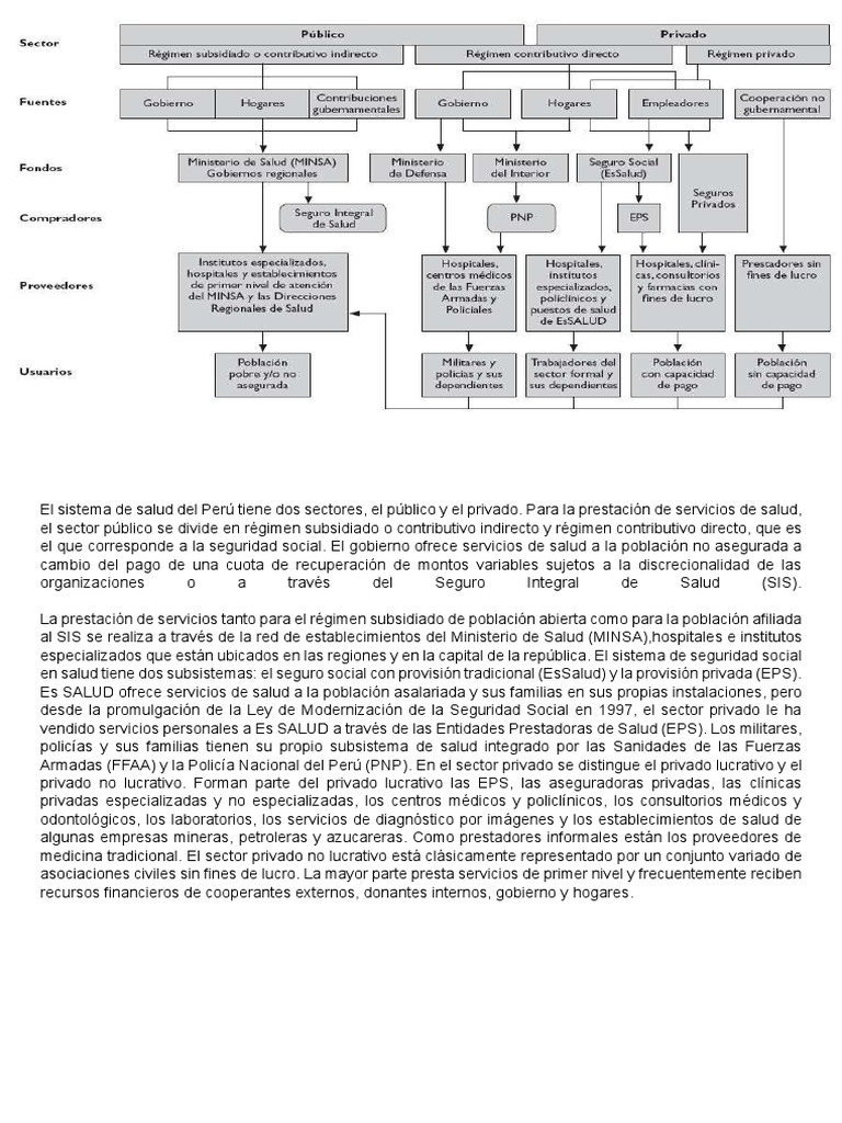 Organización del Sistema de Salud en Perú | PDF