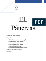 Pancreas_grupo 5(Bleseed_fisiologia