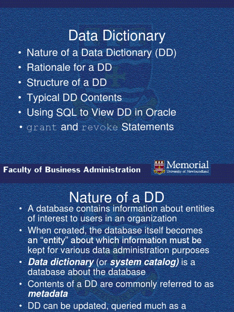 Database Dictionary Essentials | PDF | Oracle Database | Databases
