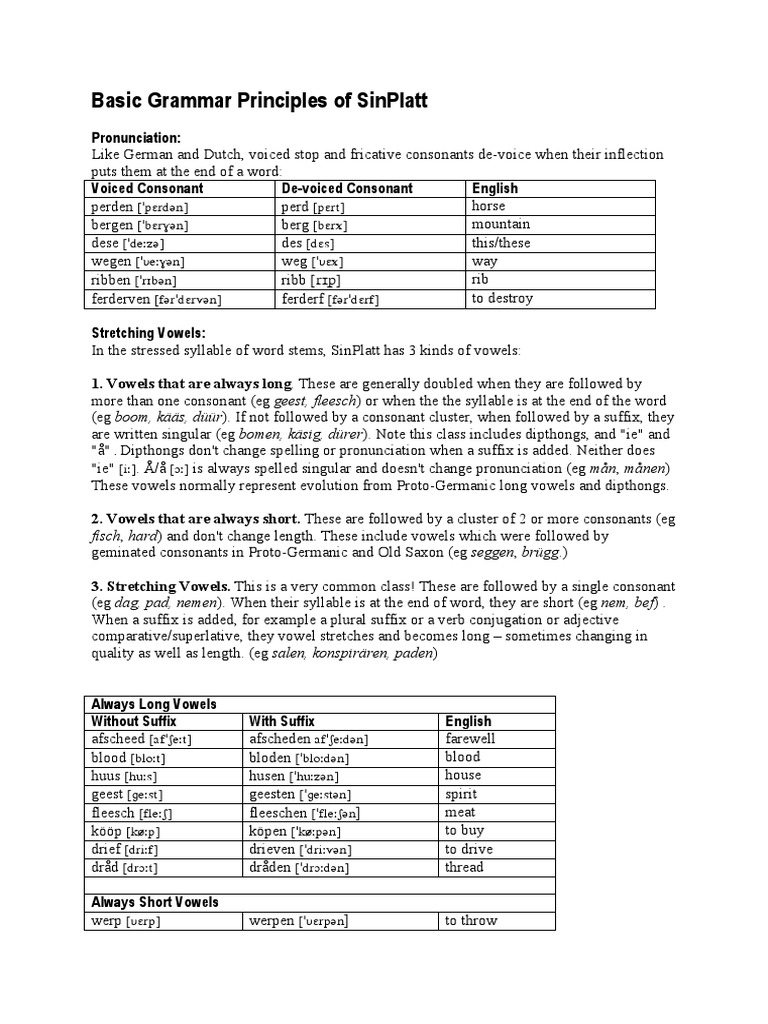 SinPlatt Grammar Guide | PDF | Grammatical Gender | Adjective