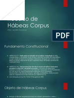 Presentación EL RECURSO DE HABEAS CORPUS
