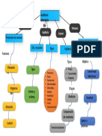 EV. 1 Mapa Conceptual FN