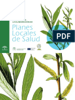 Planes Locales de Salud2 Indice Final
