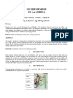 Informe Fisica No.1