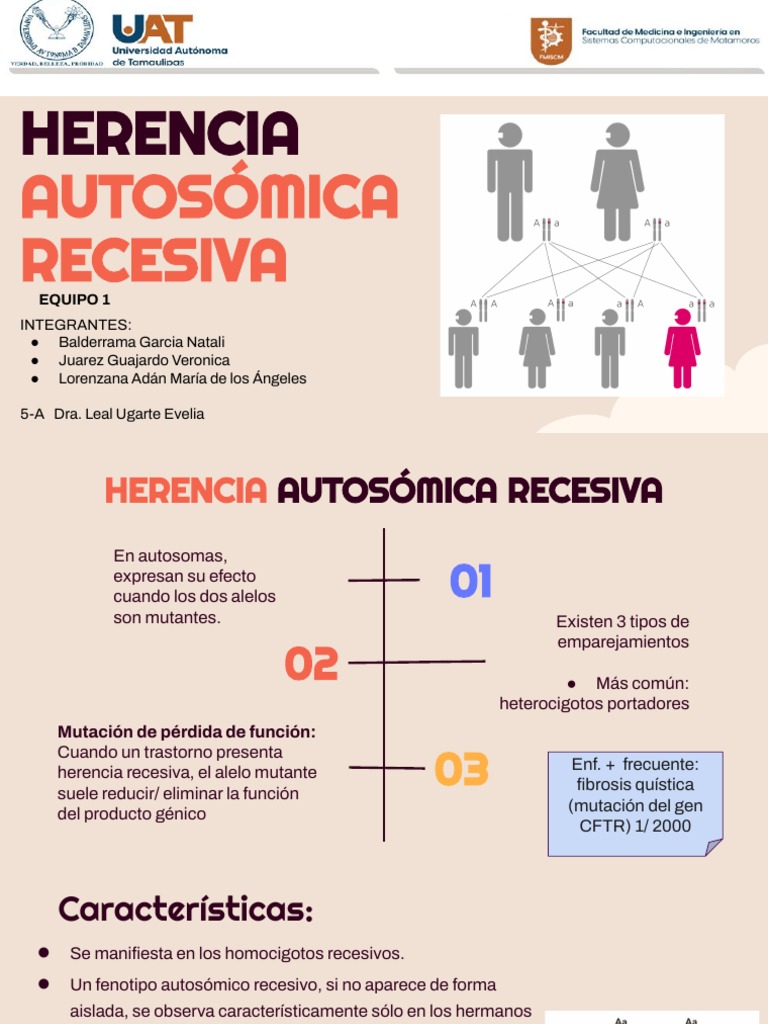 Equipo 1. Herencia Autosómica Recesiva | PDF