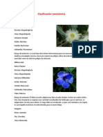 Clasificación Taxonómica