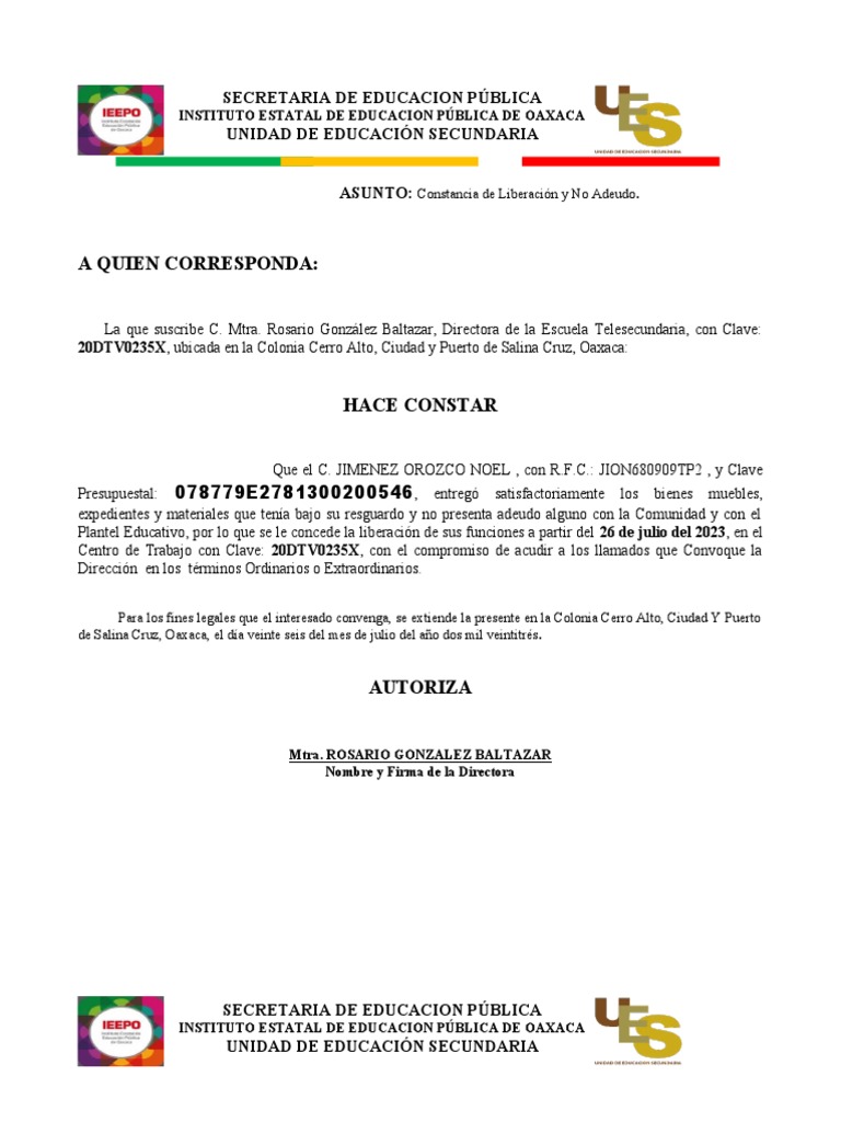 Formato de Liberacion | PDF