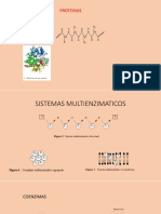 BIOENERGETICA NIVELA ON Line 2019