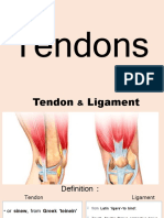 Tendon Repair Techniques MN