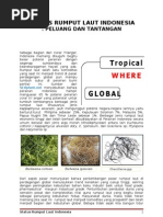 Download Status Rumput Laut Indonesia Peluang Dan Tantangan1 by Cocon SN66646129 doc pdf
