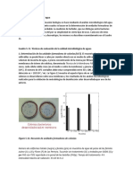 Análisis Microbiológico Del Agua